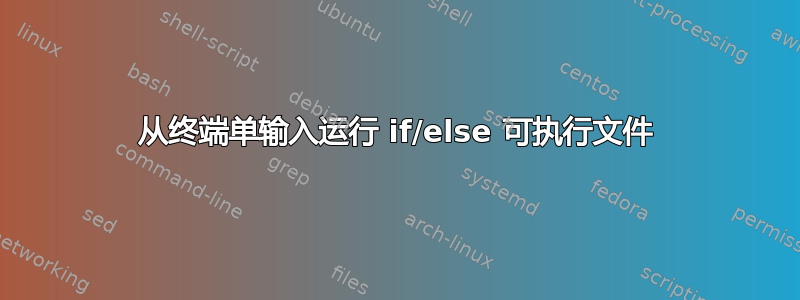 从终端单输入运行 if/else 可执行文件