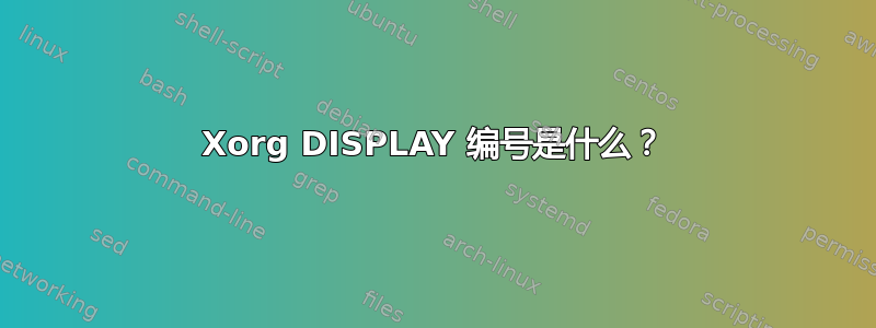 Xorg DISPLAY 编号是什么？