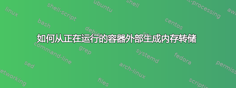 如何从正在运行的容器外部生成内存转储