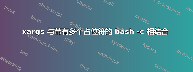 xargs 与带有多个占位符的 bash -c 相结合