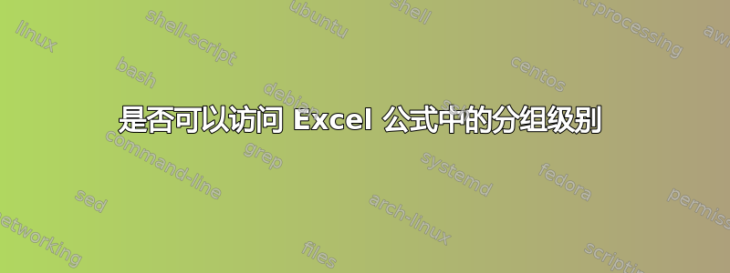 是否可以访问 Excel 公式中的分组级别