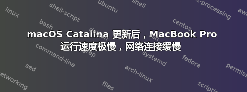 macOS Catalina 更新后，MacBook Pro 运行速度极慢，网络连接缓慢 