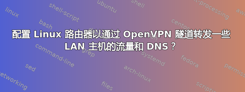 配置 Linux 路由器以通过 OpenVPN 隧道转发一些 LAN 主机的流量和 DNS？