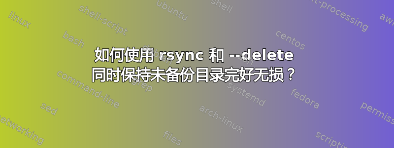 如何使用 rsync 和 --delete 同时保持未备份目录完好无损？