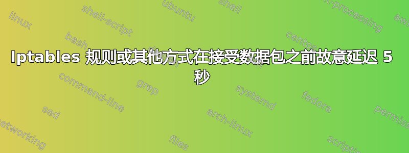 Iptables 规则或其他方式在接受数据包之前故意延迟 5 秒