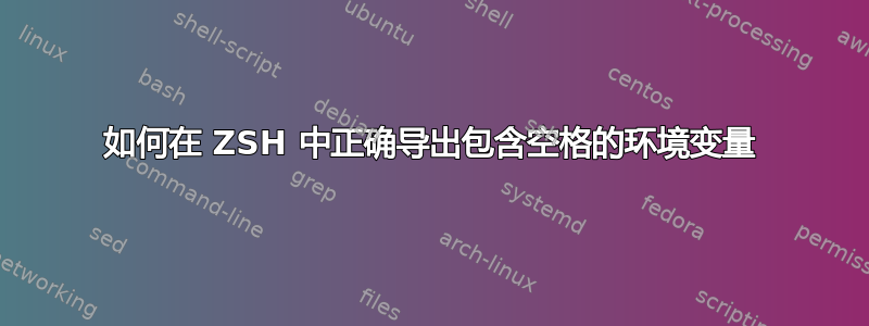 如何在 ZSH 中正确导出包含空格的环境变量