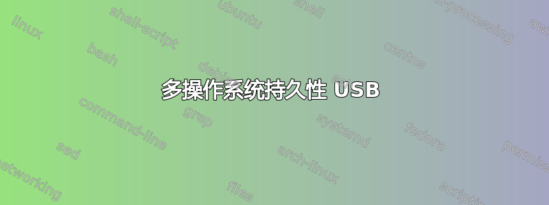多操作系统持久性 USB
