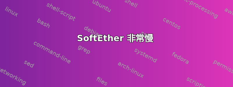 SoftEther 非常慢