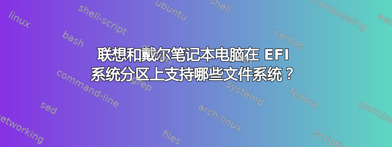 联想和戴尔笔记本电脑在 EFI 系统分区上支持哪些文件系统？