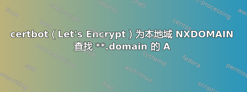 certbot（Let's Encrypt）为本地域 NXDOMAIN 查找 **.domain 的 A