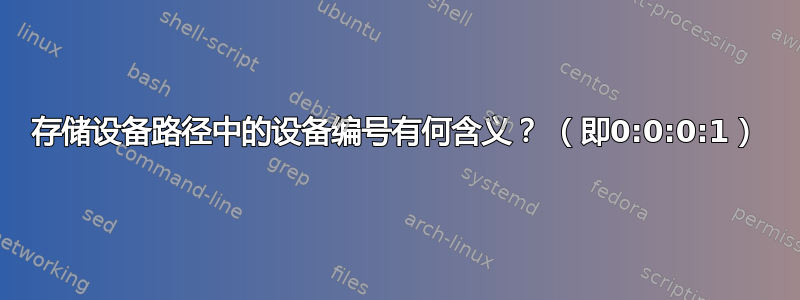 存储设备路径中的设备编号有何含义？ （即0:0:0:1）