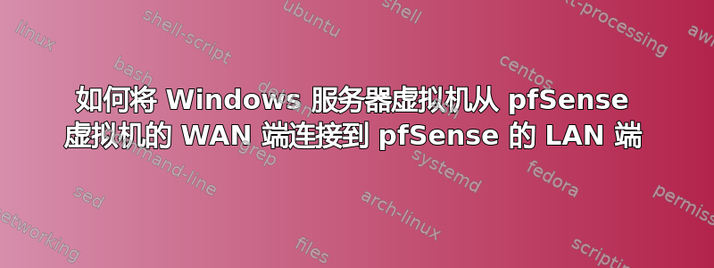 如何将 Windows 服务器虚拟机从 pfSense 虚拟机的 WAN 端连接到 pfSense 的 LAN 端