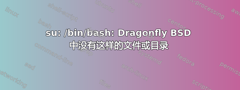 su: /bin/bash: Dragonfly BSD 中没有这样的文件或目录