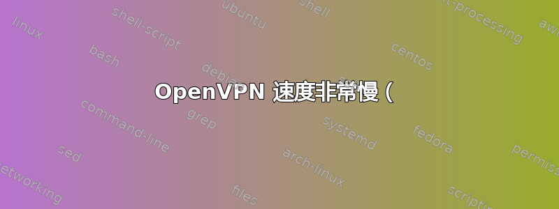 OpenVPN 速度非常慢（