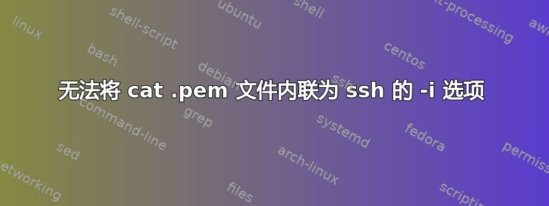 无法将 cat .pem 文件内联为 ssh 的 -i 选项