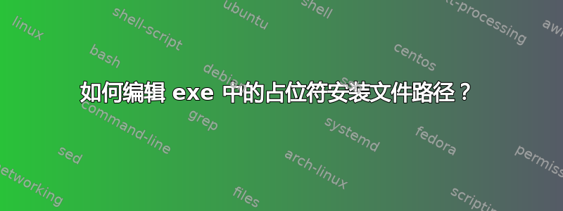 如何编辑 exe 中的占位符安装文件路径？