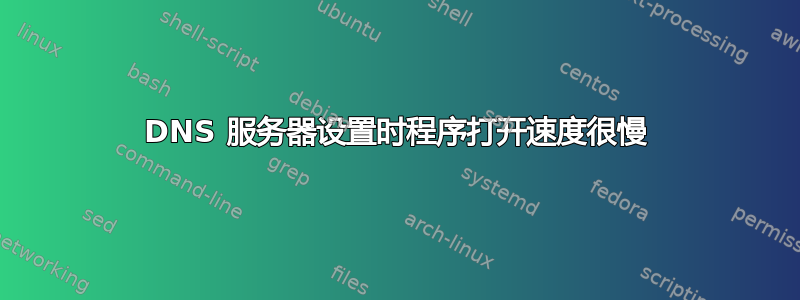 DNS 服务器设置时程序打开速度很慢