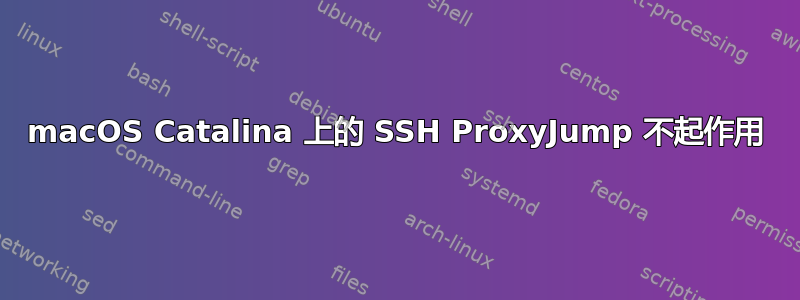 macOS Catalina 上的 SSH ProxyJump 不起作用