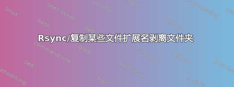 Rsync/复制某些文件扩展名剥离文件夹