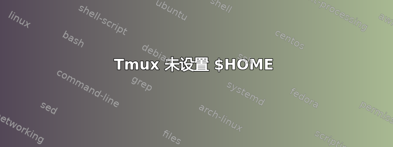 Tmux 未设置 $HOME