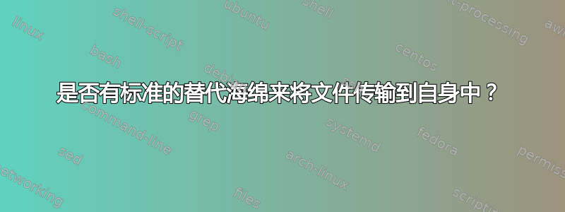 是否有标准的替代海绵来将文件传输到自身中？