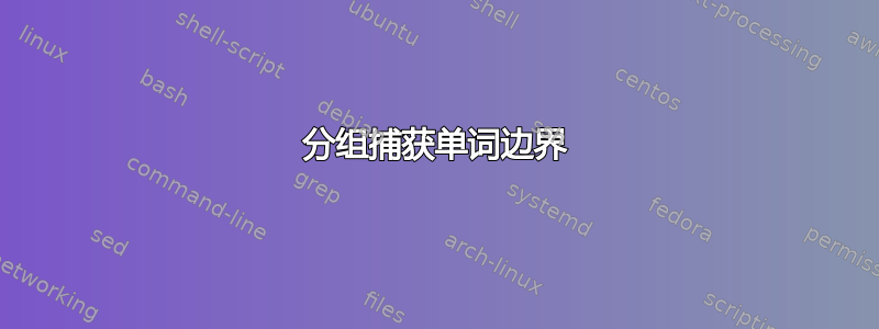 分组捕获单词边界