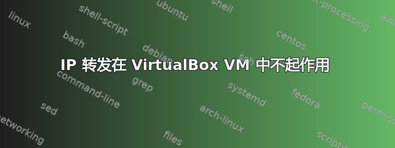 IP 转发在 VirtualBox VM 中不起作用