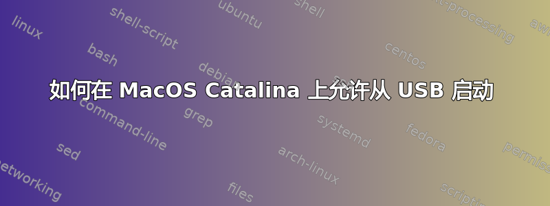 如何在 MacOS Catalina 上允许从 USB 启动