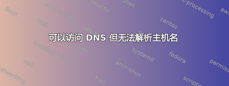 可以访问 DNS 但无法解析主机名