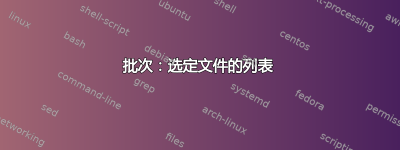 批次：选定文件的列表