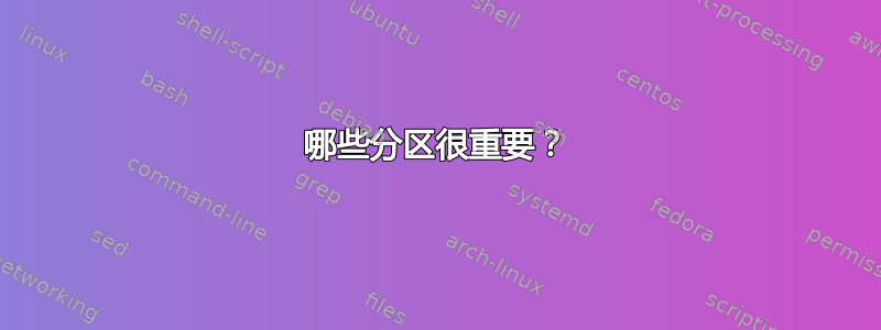 哪些分区很重要？