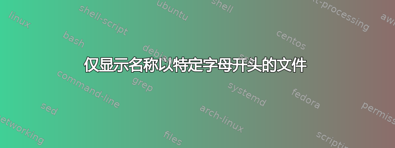 仅显示名称以特定字母开头的文件