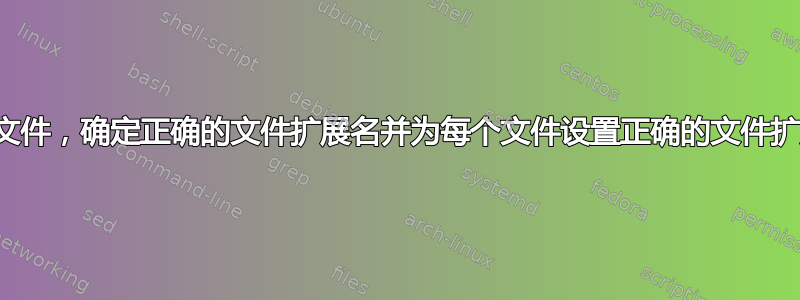 批量审查文件，确定正确的文件扩展名并为每个文件设置正确的文件扩展名类型