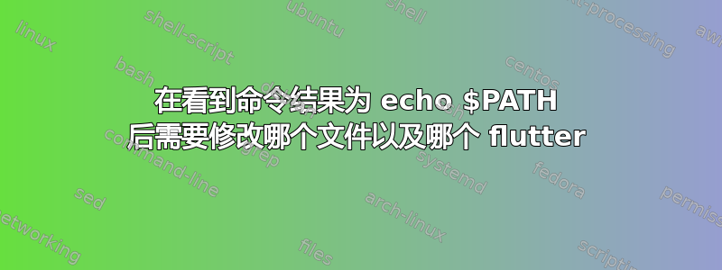 在看到命令结果为 echo $PATH 后需要修改哪个文件以及哪个 flutter