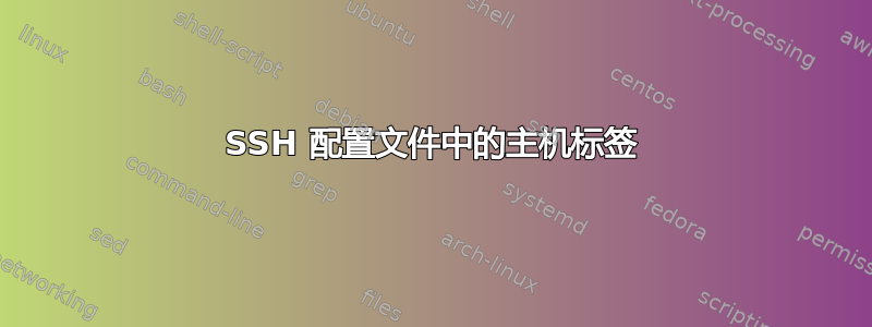 SSH 配置文件中的主机标签