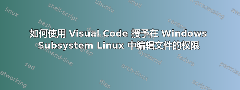 如何使用 Visual Code 授予在 Windows Subsystem Linux 中编辑文件的权限