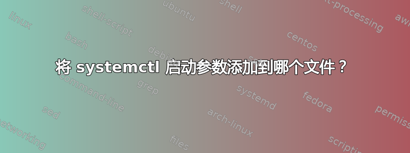 将 systemctl 启动参数添加到哪个文件？