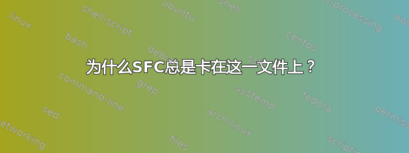 为什么SFC总是卡在这一文件上？