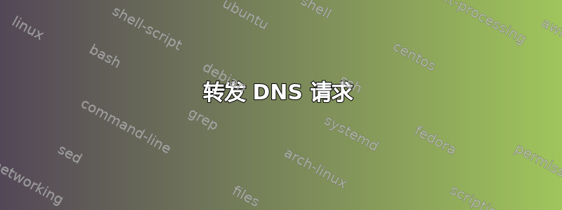 转发 DNS 请求