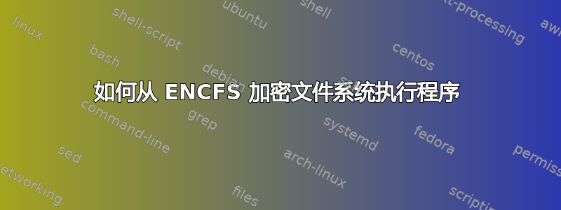 如何从 ENCFS 加密文件系统执行程序