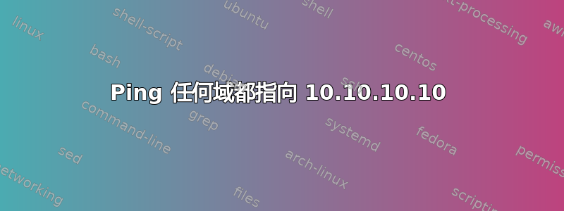 Ping 任何域都指向 10.10.10.10