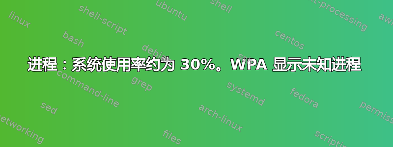 进程：系统使用率约为 30%。WPA 显示未知进程