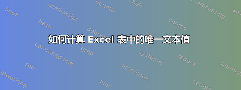 如何计算 Excel 表中的唯一文本值