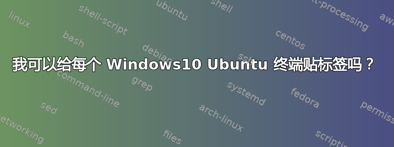 我可以给每个 Windows10 Ubuntu 终端贴标签吗？