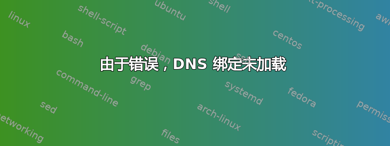 由于错误，DNS 绑定未加载