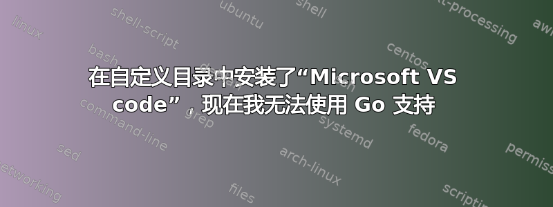 在自定义目录中安装了“Microsoft VS code”，现在我无法使用 Go 支持