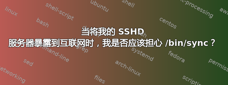 当将我的 SSHD 服务器暴露到互联网时，我是否应该担心 /bin/sync？