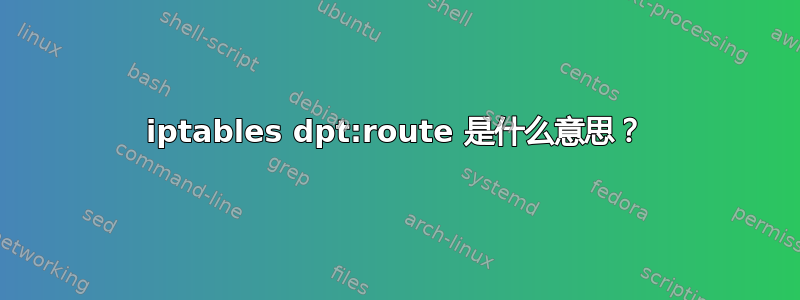 iptables dpt:route 是什么意思？