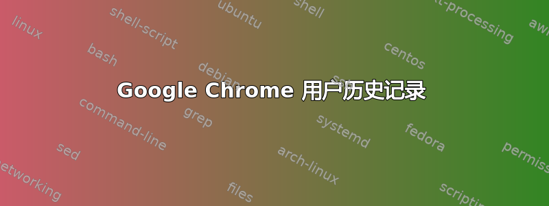 Google Chrome 用户历史记录