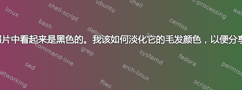 我失踪的浅灰色和白色猫在照片中看起来是黑色的。我该如何淡化它的毛发颜色，以便分享和打印它的毛发的准确颜色